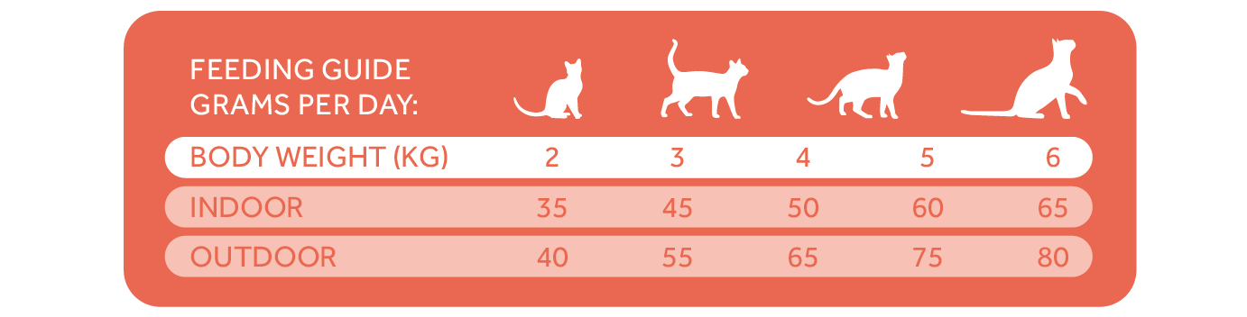 Tablas Trovetplus-29